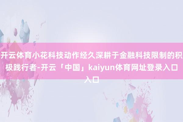 开云体育小花科技动作经久深耕于金融科技限制的积极践行者-开云「中国」kaiyun体育网址登录入口