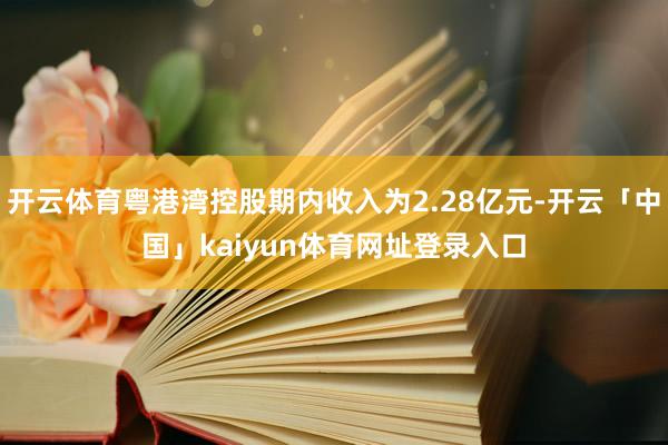开云体育粤港湾控股期内收入为2.28亿元-开云「中国」kaiyun体育网址登录入口