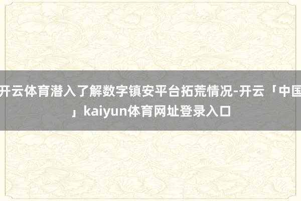 开云体育潜入了解数字镇安平台拓荒情况-开云「中国」kaiyun体育网址登录入口