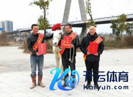 跳江救东谈主白马主东谈主获赠新白马