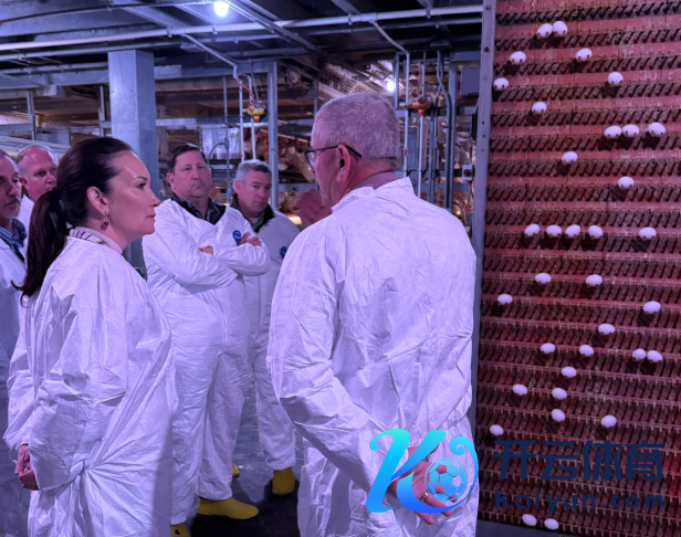 罗林斯参不雅好意思国产蛋农场